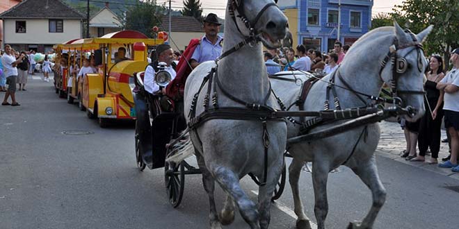 defile-fijaker-11 дефиле